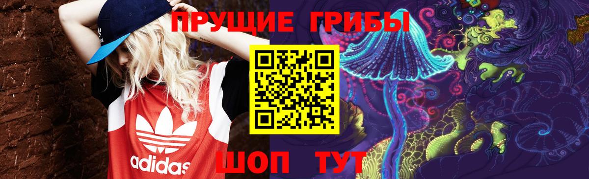 Воркута  Псилоцибиновые грибы мицелий  Псилоцибиновые грибы GOLDEN TEACHER  Вход с VPN 